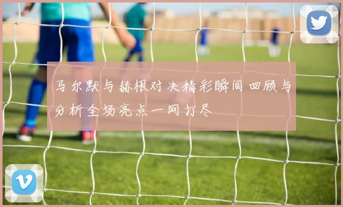 马尔默与赫根对决精彩瞬间回顾与分析全场亮点一网打尽