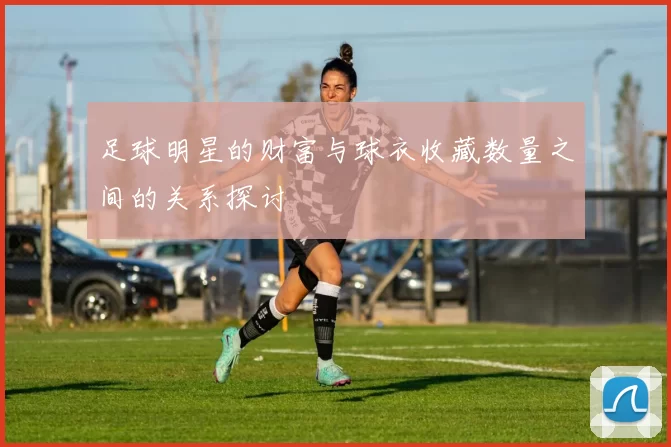 足球明星的财富与球衣收藏数量之间的关系探讨