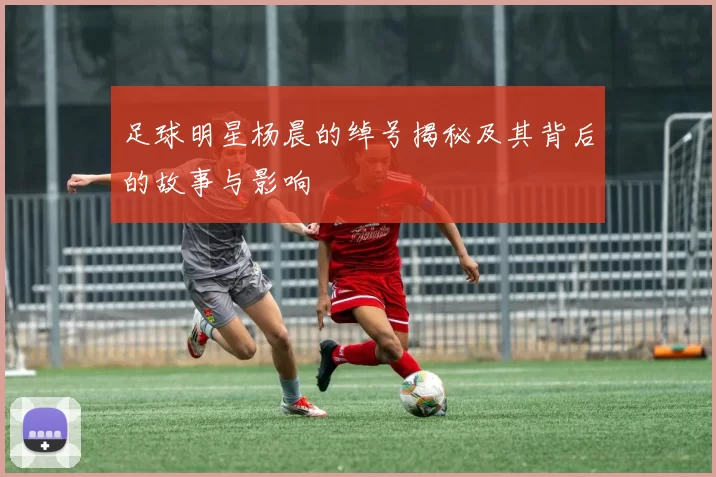 足球明星杨晨的绰号揭秘及其背后的故事与影响