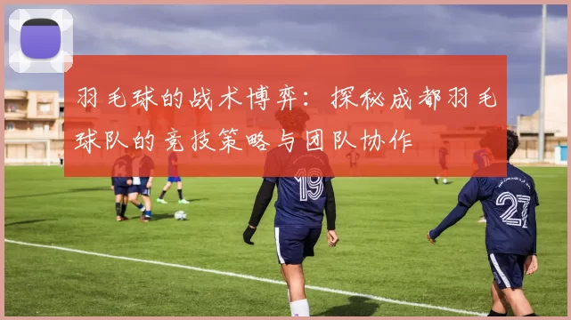 羽毛球的战术博弈：探秘成都羽毛球队的竞技策略与团队协作