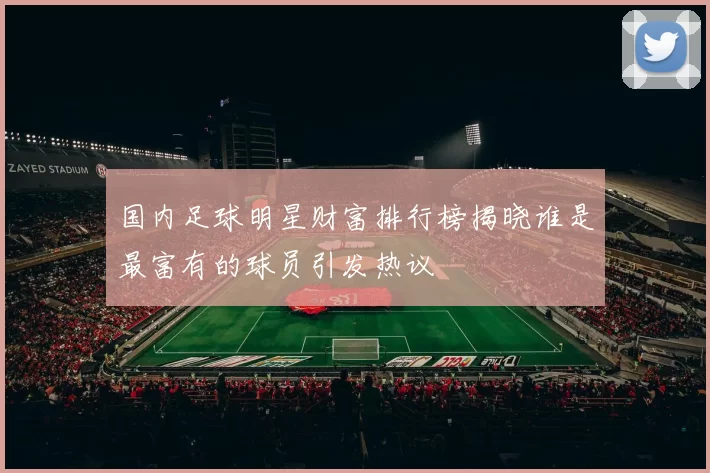 国内足球明星财富排行榜揭晓谁是最富有的球员引发热议