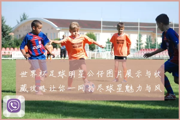 世界杯足球明星公仔图片展示与收藏攻略让你一网打尽球星魅力与风采