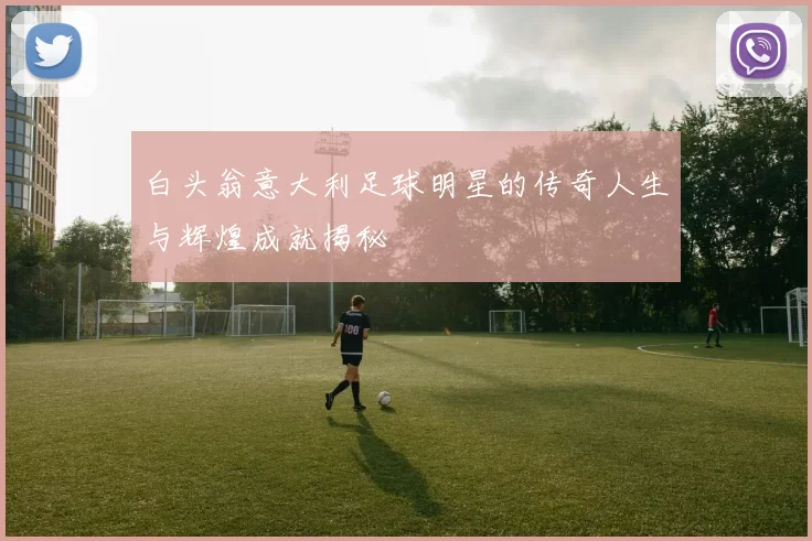 白头翁意大利足球明星的传奇人生与辉煌成就揭秘