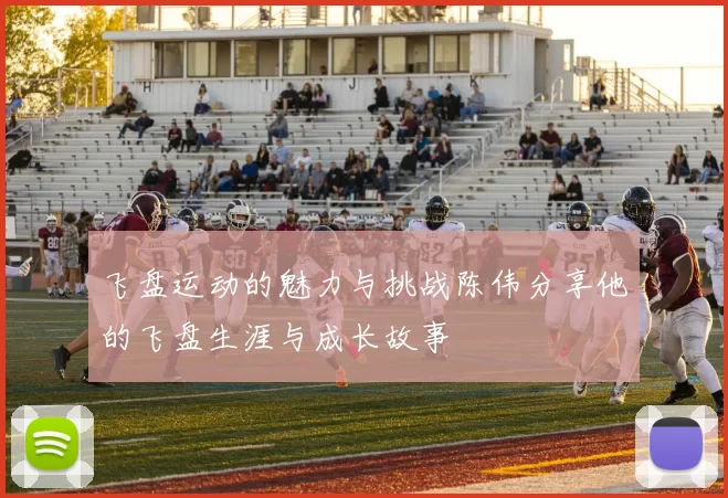 飞盘运动的魅力与挑战陈伟分享他的飞盘生涯与成长故事