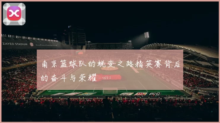 南京篮球队的蜕变之路精英赛背后的奋斗与荣耀