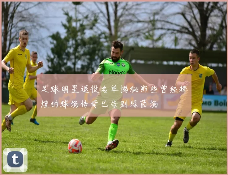 足球明星退役名单揭秘那些曾经辉煌的球场传奇已告别绿茵场