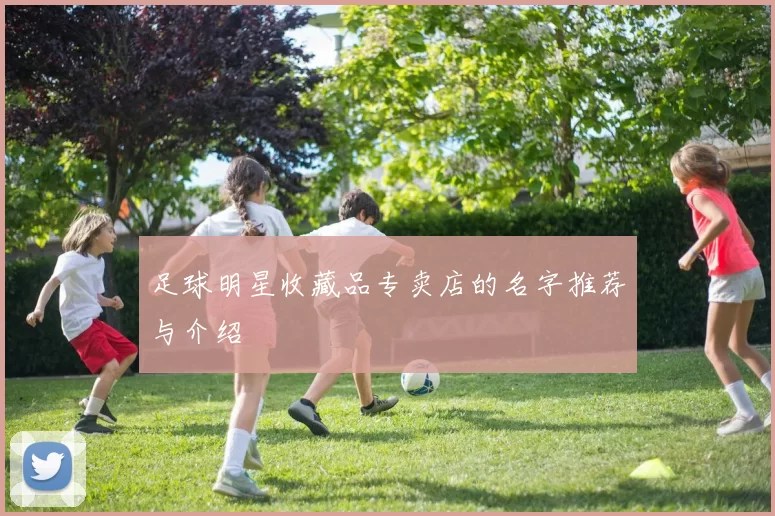 足球明星收藏品专卖店的名字推荐与介绍