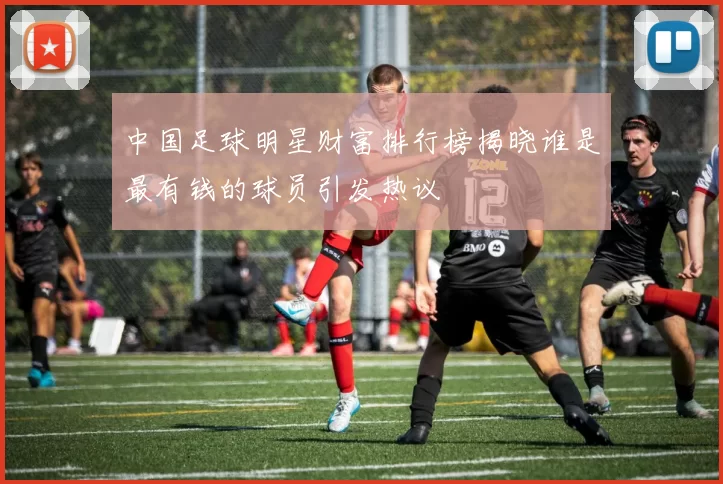 中国足球明星财富排行榜揭晓谁是最有钱的球员引发热议