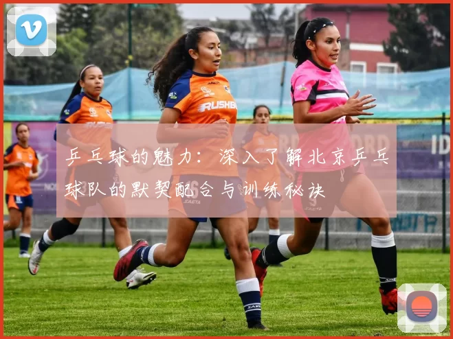乒乓球的魅力：深入了解北京乒乓球队的默契配合与训练秘诀