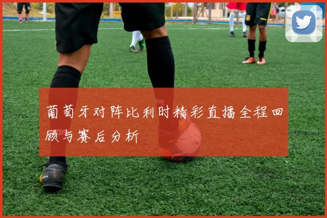 葡萄牙对阵比利时精彩直播全程回顾与赛后分析