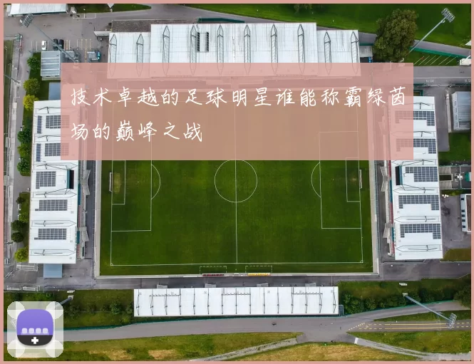 技术卓越的足球明星谁能称霸绿茵场的巅峰之战