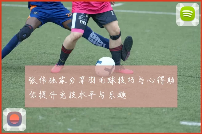 张伟独家分享羽毛球技巧与心得助你提升竞技水平与乐趣