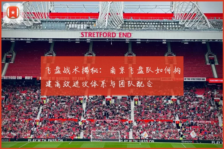 飞盘战术揭秘：南京飞盘队如何构建高效进攻体系与团队配合