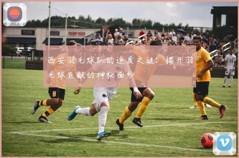 西安羽毛球队的速度之谜：揭开羽毛球巨献的神秘面纱