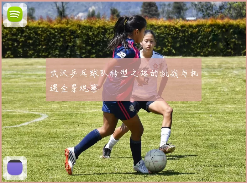 武汉乒乓球队转型之路的挑战与机遇全景观察