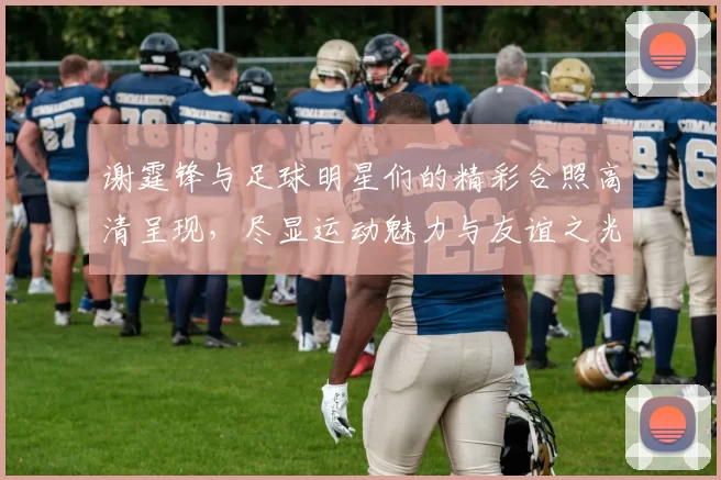谢霆锋与足球明星们的精彩合照高清呈现，尽显运动魅力与友谊之光