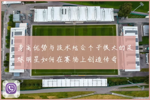 身高优势与技术结合个子很大的足球明星如何在赛场上创造传奇