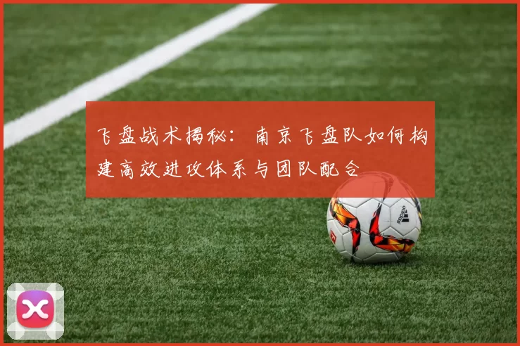 飞盘战术揭秘：南京飞盘队如何构建高效进攻体系与团队配合