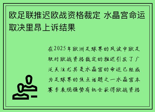 欧足联推迟欧战资格裁定 水晶宫命运取决里昂上诉结果